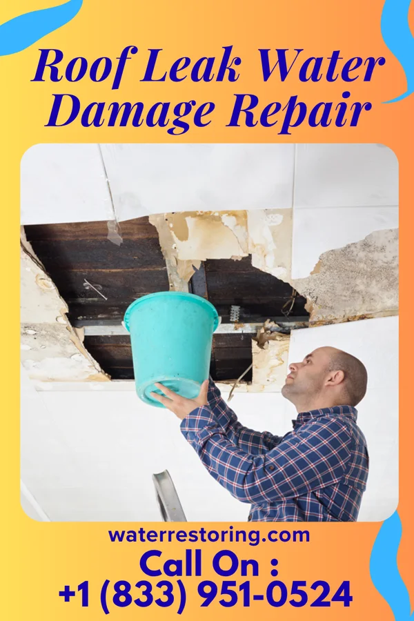 Roof Leak Water Damage Repair in Many, LA